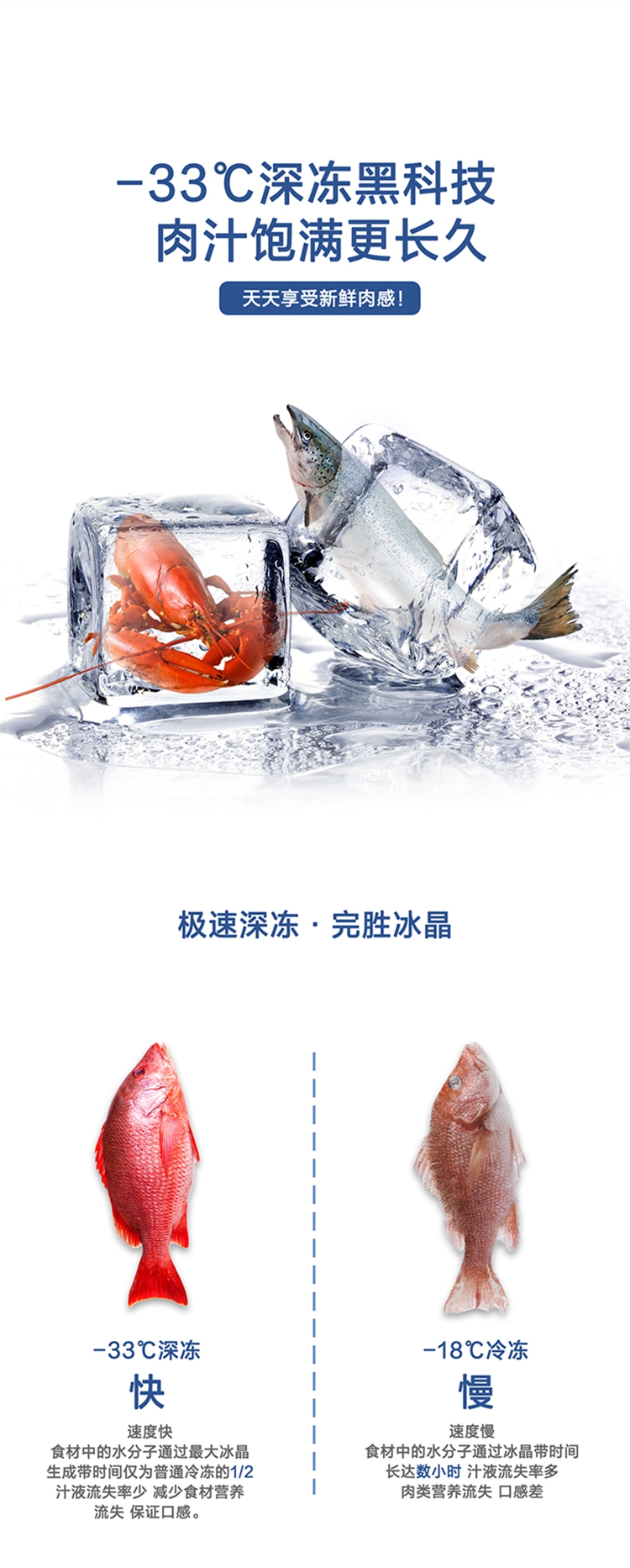 彩頁(yè)2.jpg